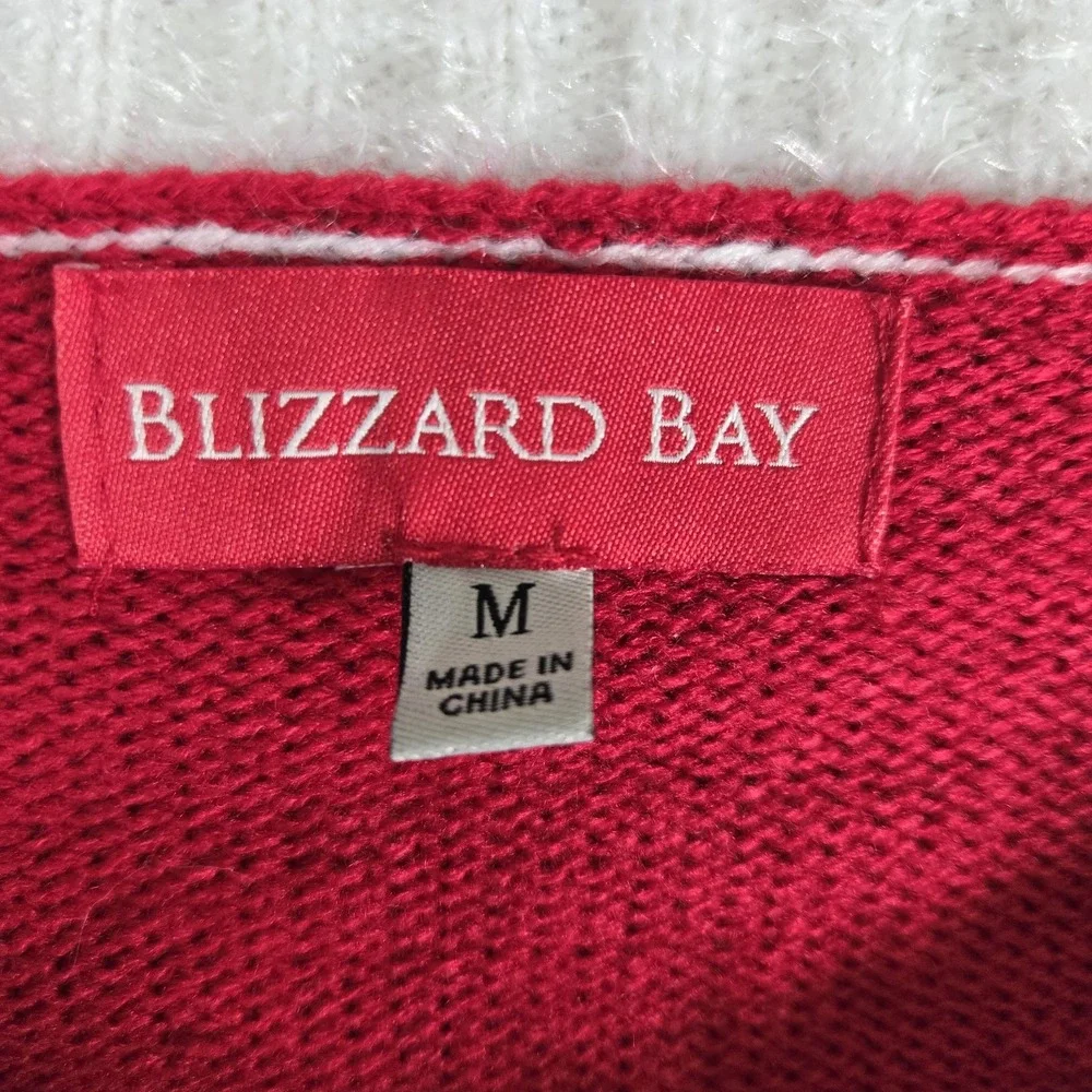 Blizzard Bay very cool